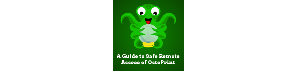 A Guide To Safe Remote Access of OctoPrint