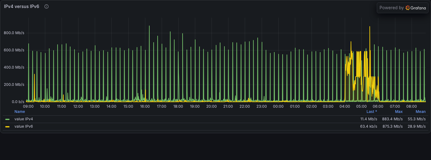A live NetFlow graph comparing IPv4 and IPv6 traffic over 24 hours. The two protocol families remain separate series, making their different traffic patterns visible without exposing individual conversations.